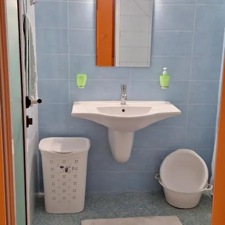 Kamelia A29 *